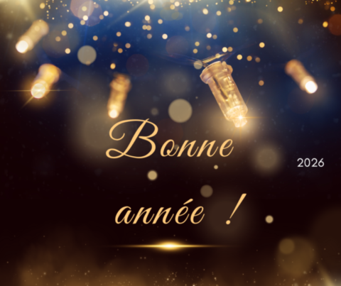 bonne année crea spectacles caen compagnie de spectacles normandie 2026 spectacle enfant jeune public tout public sortie famille